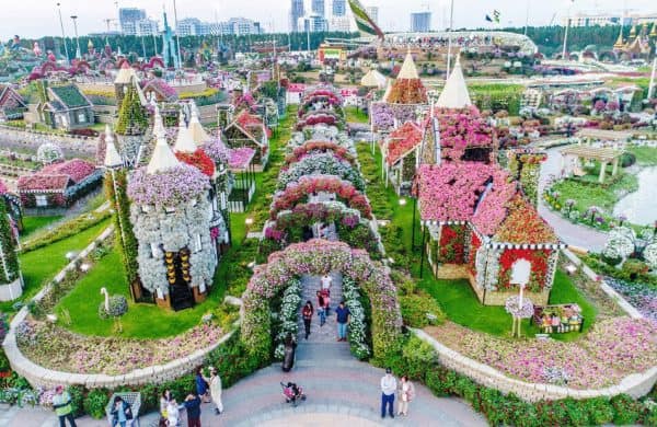 dubai-miracle-garden-disney-avenue