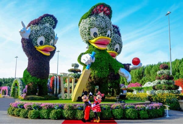 Dubai-Miracle-Garden-Donald-Duck