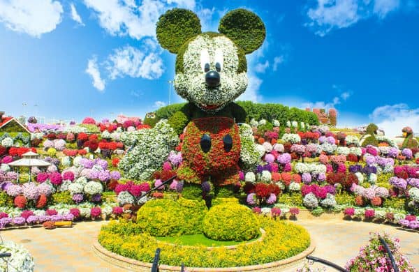Dubai-Miracle-Garden-Mickey-Mouse
