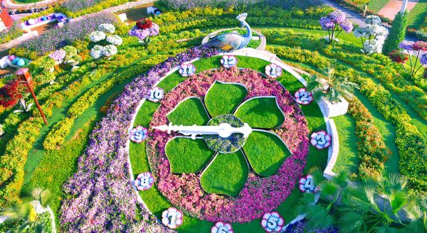 dubai-miracle-garden-floral-clock