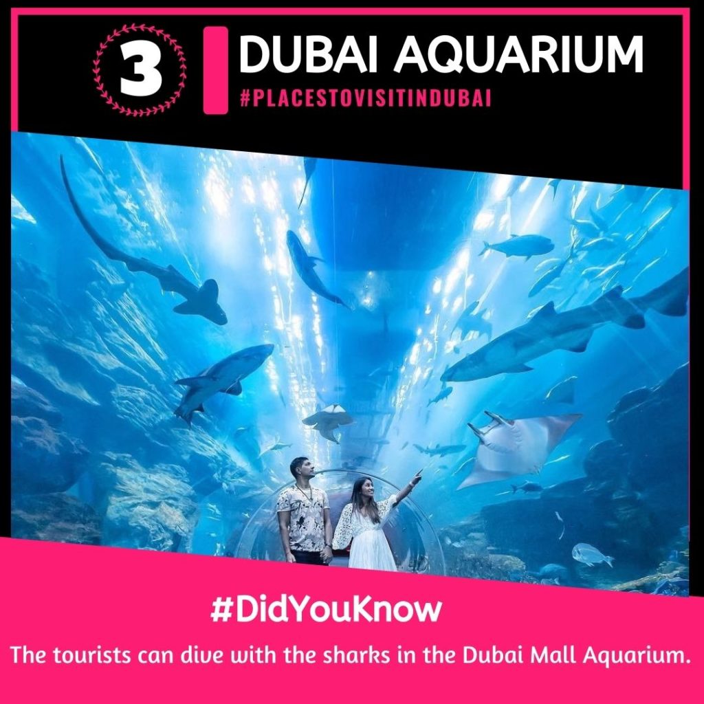 must-visit-places-dubai-aquarium